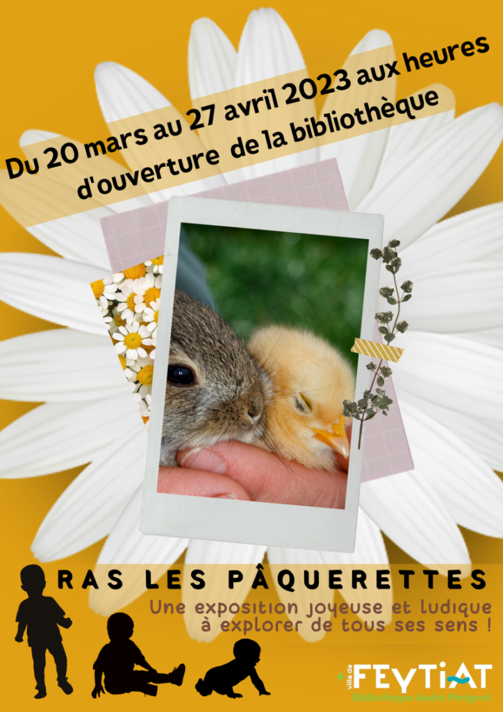 ras-les-paquerettes-exposition-bibliotheque